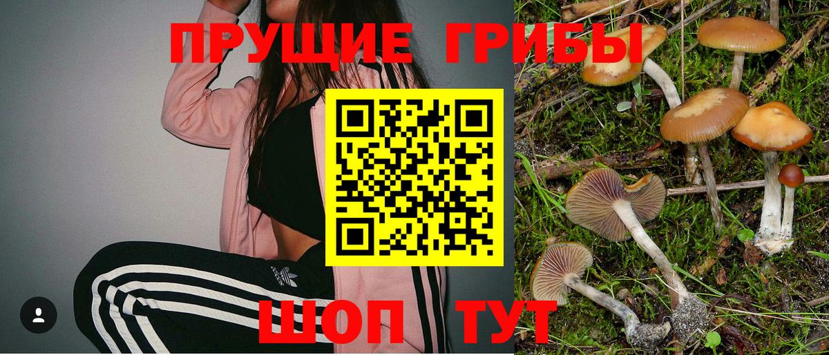 Псилоцибиновые грибы Magic Shrooms Семилуки